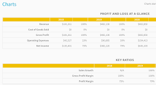 A Powerful Financial Model For A Startup Gym Projectionhub