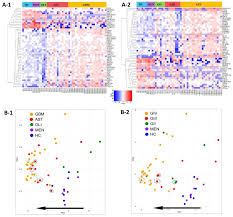 Borç sorgusu seçildiğinde dört sorgu tipi ile ödeme yapılabilmektedir. Ijms Free Full Text A Comprehensive Proteomic Swath Ms Workflow For Profiling Blood Extracellular Vesicles A New Avenue For Glioma Tumour Surveillance Html