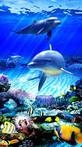 Download Fishes Wallpaper By Georgekev 6d Free On Zedge Now Browse Millions Of Popular Dolphi Underwater Wallpaper Beautiful Sea Creatures Fish Wallpaper
