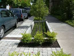 Sw 12th Avenue Green Street Project Portland Oregon Rain Garden Jardin De Lluvia Arquitectura Paisajista Jardines