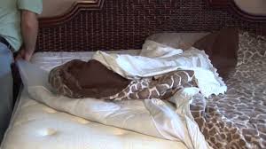 Maybe you would like to learn more about one of these? How To Get Rid Of Fleas In Bedding Youtube