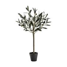 Check spelling or type a new query. Olive Tree Small H 60cm Pavilion Broadway