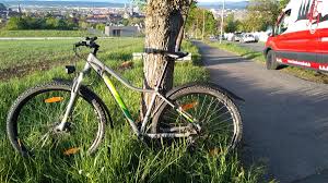 Impressionen Von Fahrradtouren In Bamberg Und Ganz Franken Bamberg Rad