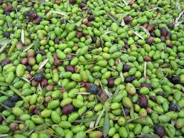 Polyphenols In Olive Oil And Olives Effect Of Environment And Extraction Process Chemistry Flavonoids Phenolic Acids H Polyphenols Italy Food Spanish Food