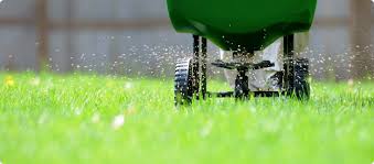 Pest pro exterminating co., inc. Grateful Grass Lawn Care
