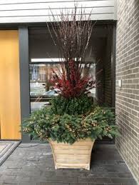 Dirt Simple Gardening And Landscape Blog By Deborah Silver Outdoor Christmas Planters Container Plants Flower Landscape
