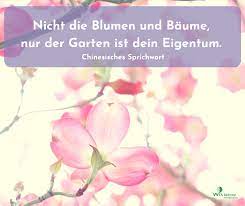 Maybe you would like to learn more about one of these? Reitmayr Gartengestaltung Nicht Die Blumen Und Baume Nur Der Garten Ist Dein Eigentum Chinesisches Sprichwort Teamreitmayr Reitmayr Garten Gartner Reitmayrgartengestaltung Gartengestaltung Gartenplanung Munchen Oberbayern Facebook