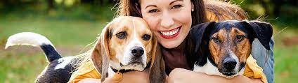 Hours may change under current circumstances Facts About Dog Obesity In Sugar Land Tx Vca Southwest Freeway Animal Hospital