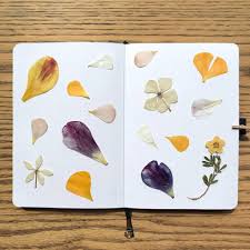 837 flowers were grown on a single plant by melvin hemker in saint charles, mi. 40 Cute Bullet Journal Ideas For Inspiration Plus Free Printables