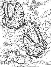 How about making your own coloring book with these printablebutterfly coloring sheets? Free Printable Butterfly Coloring Pages Adults Flowers Butterflies Wedothings Co