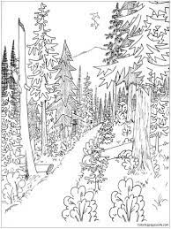 Download and print these forest printable coloring pages for free. Mixed Conifer Forest Coloring Pages Forest Coloring Pages Coloring Pages For Kids And Adults