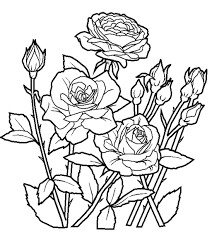 Floral prints are gorgeous on clothing, in home decor, and in coloring pages! Anycoloring Com Rose Coloring Pages Flower Coloring Pages Garden Coloring Pages