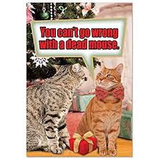 Amazon Com 12 Tree Fainted Cat Boxed Christmas Cards With Envelopes 4 63 X 6 75 Inch Kitten And Christmas Humor Holiday Design Card Boxed Christmas Cards