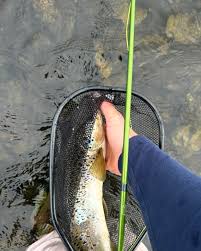 Eric Moyes (@moyesoutdoors) • Instagram photos and videos