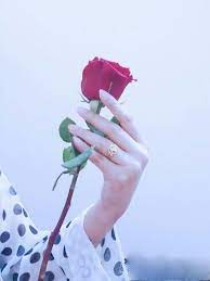 We did not find results for: Pin By Petimat Kadyrova On Roses Flower Images Free Beautiful Dp Flower Images