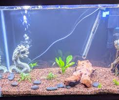 Maybe you would like to learn more about one of these? Northeast Philadelphia Pet Sitting Pet Care Home Facebook