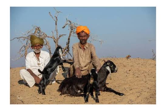 Portrait of a Rajput Shepherd,Thar Desert, Rajasthan, India Discovering the Real Desert in Rajasthan.Sand and sun stretched before me, as far as my eyes could see.Dotted with huts, buildings and endless scrub,