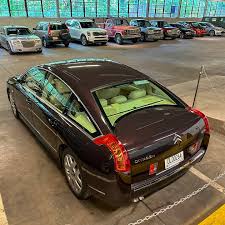 Image result for Brun Guaranja 2011 Citroen