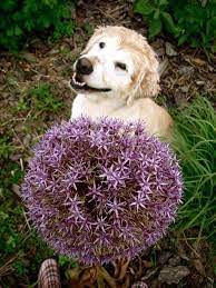 Pin On Animal Gorgeousness