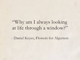 Daniel Keyes Flowers For Algernon Flowers For Algernon Poems Quotes Deep
