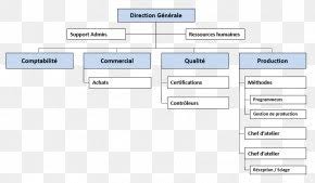 Cellular Organizational Structure Organizational Chart Png