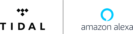 Amazon Alexa Tidal Company logo technology electronics logos tech logo engineering. amazon alexa tidal