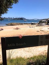 Check spelling or type a new query. Milk Beach Vaucluse