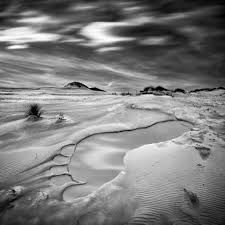 Resultat d'imatges de Dariusz Klimczak