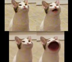 Pop cat, refers to a series of videos in which use two images of a cat named oatmeal, one with its mouth closed, and the other photoshopped as if the cat is holding it wide open in the shape of an o. This Are The Original Pop Cat Images Memes