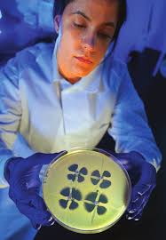 2018 Public Policy Agenda