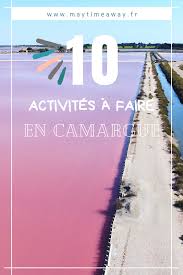 10 Choses A Ne Pas Manquer Si Vous Visitez La Camargue Camargue Visiter La Camargue Aigues Mortes