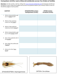 20 best learning activities for toddlers to get them ready for kindergarten. Resources Macroinvertebrates Org