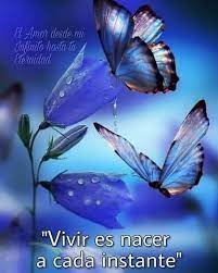 Eso Es Vivir Postales De Buenos Dias Saludos De Buenos Dias Imagenes Lindas De Buenos Dias