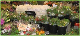 Send flowers from a real san antonio, tx local florist. Bulk Flowers Wholesale To Go Austin Flower Company Wholesale Flowers Flower Warehouse Luxury Flower Bouquets