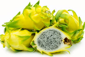 Seed blue dragon fruit plant. Israeli Yellow Dragon Fruit Information And Facts