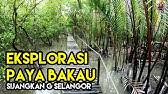 Asal kampung ini pada masa itu dikenali sebagai tasik sibo kerana letaknya berhampiran dengan daerah pasir mas. Melaka Taman Rekreasi Bukit Serindit Youtube
