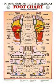 Foot Reflexology Chart Laminated Foot Reflexology Chart