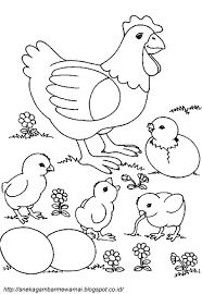 Neh wiwil ada sketsa gambar anak ayam yang baru menetas loh, lucu banget tau. Gambar Mewarnai Ayam Untuk Anak Paud Dan Tk Buku Mewarnai Ayam Warna