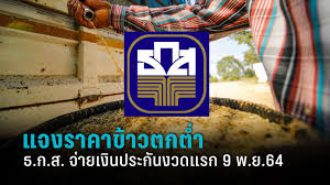 โอนแล้ว สูงสุด 300,000 08 พ.ย. Vwbmjsw4crcobm