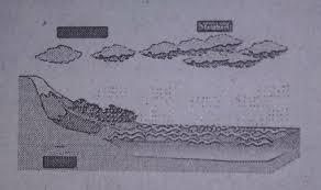 Resonansi yang dihasilkan dari suara bedug di masjid, yang ditabuh saat akan melakukan adzan. Berdasarkan Gambar Di Samping Tuliskan Proses Terjadinya Hujantolong Ya Kak Makasih Brainly Co Id