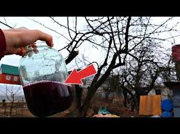 опрыскивание деревьев весной по фазам от болезней и вредителей Rannej Vesnoj V Marte Opryskajte Etim Yabloni I Grushi Ot Vseh Vreditelej I Boleznej Youtube V 2020 G Organicheskoe Sadovodstvo Sadovye Derevya Sadovodstvo