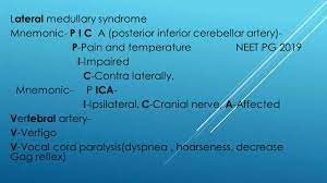 Lateral Medullary Syndrome Medical Mnemonic For Neet Pg And Ug By Dr Prakash Nayak Youtube