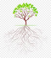 Transparent background tree with roots silhouette. Fresh Life Tree Illustrator Roots Free Transparent Png Clipart Images Download