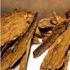 Image result for Voacanga pachyceras