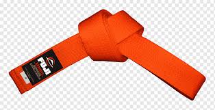 Brazilian Jiu Jitsu Ranking System Black Belt Karate Judo Sports Martial Arts Sport Orange Sports Png Pngwing
