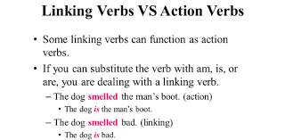 Circle the linking verb in each of the sentences in this exercise. Linking And Action Verbs Grammar Trivia Quiz Proprofs Quiz
