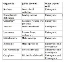 Image Result For Cell Organelles And Their Functions Chart Cytoplasm Cell Organelles Organelles Cells Lesson