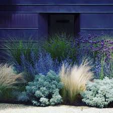 Pin By Merteni On Blue Xeriscape Front Yard Mediterranean Garden Design Modern Landscaping