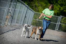 Four paws pet resort reviews. Home Four Paws Pet Resort