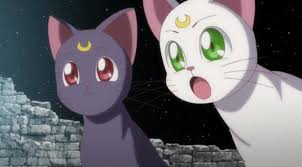 Oleh sebab itu, tidak heran jika beberapa kartun terkenal sering menggunakan hewan buas yang suka. Selain Pikachu Ini Dia 6 Karakter Anime Paling Imut Showbiz Liputan6 Com